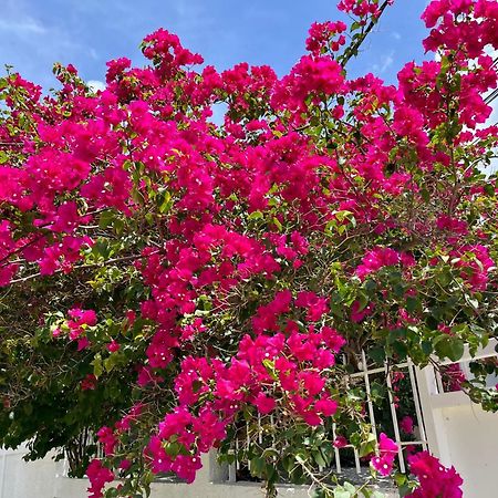 Les Villas Du Bambou - Villa Paprika Jusqu'A 6 Pers 哥西尔 外观 照片